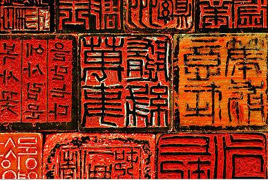 Focus发布全年财报 收入2亿美元增长了20%