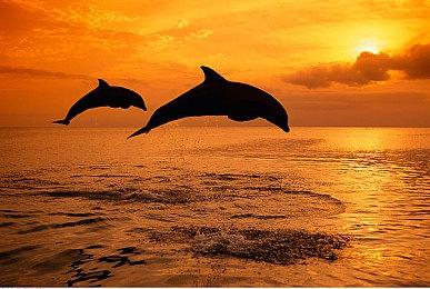 《浩劫前夕》12月8日Steam抢先体验 开放世界末日生存